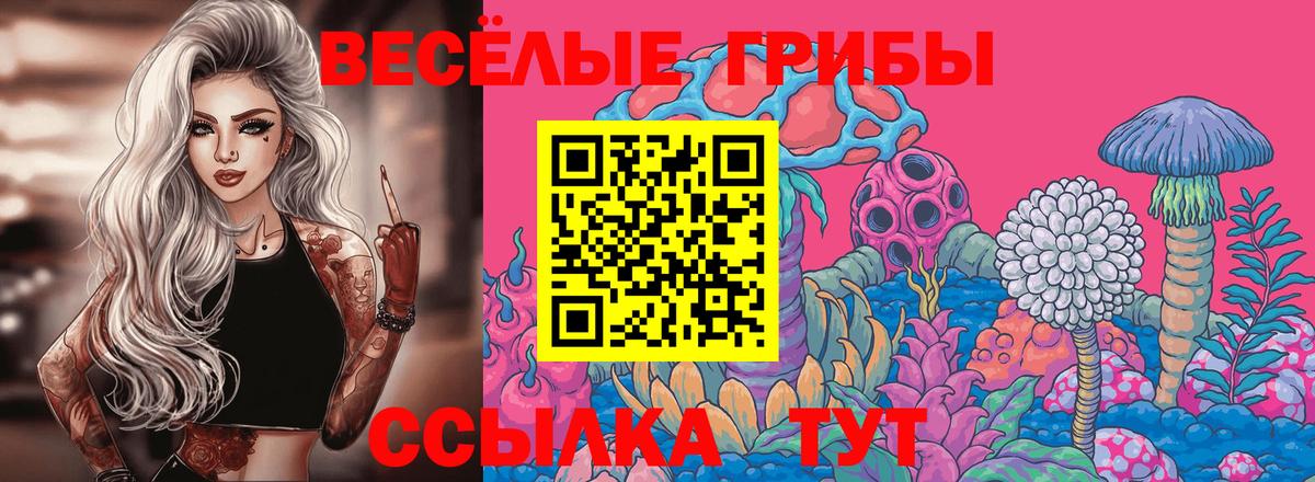 Галлюциногенные грибы Psilocybe Пыть-Ях