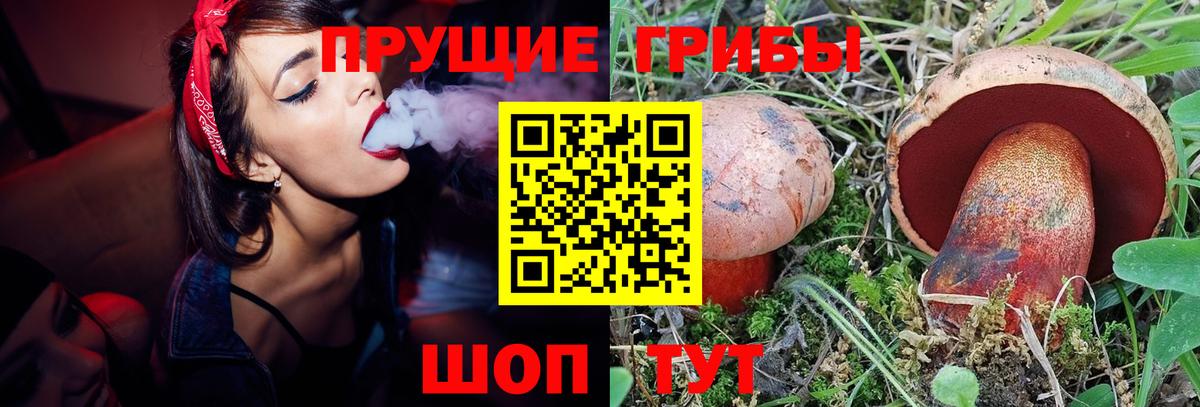 Пыть-Ях  Псилоцибиновые грибы ЛСД  Вход с VPN  Псилоцибиновые грибы мицелий 